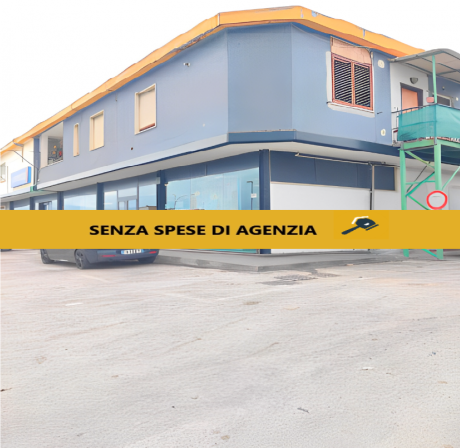 immagine annuncio 3 di 8