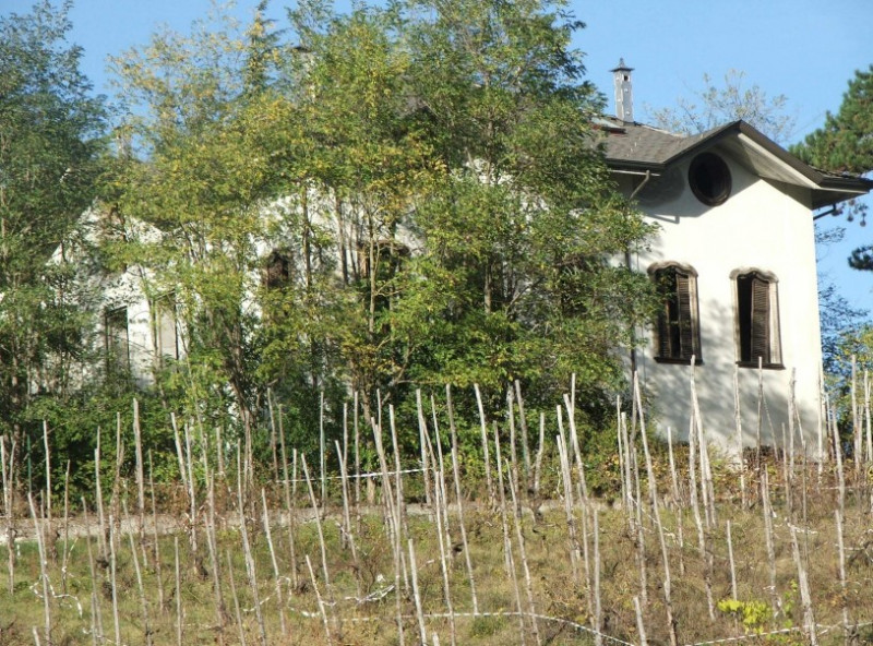 immagine annuncio 3 di 10