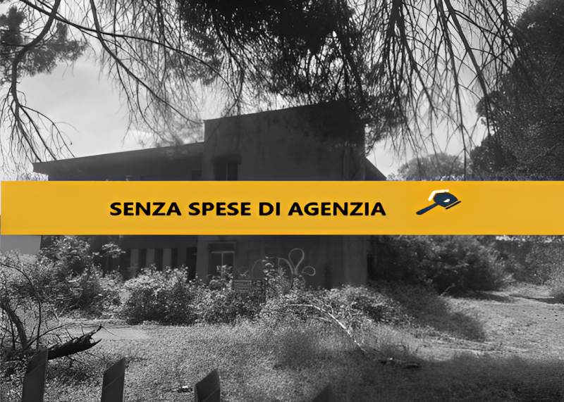 immagine annuncio 2 di 9