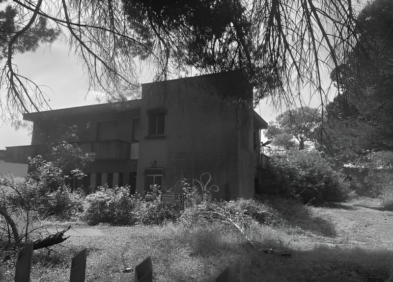 immagine annuncio 3 di 9