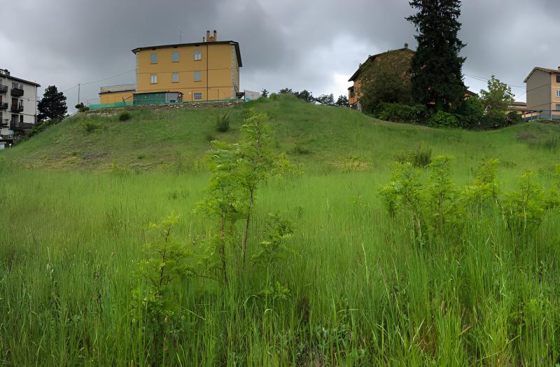 immagine annuncio 1 di 6