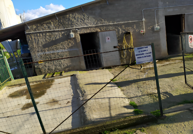 immagine annuncio 7 di 10