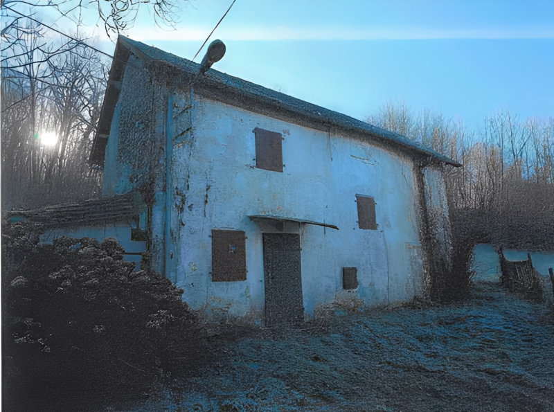 immagine annuncio 5 di 8