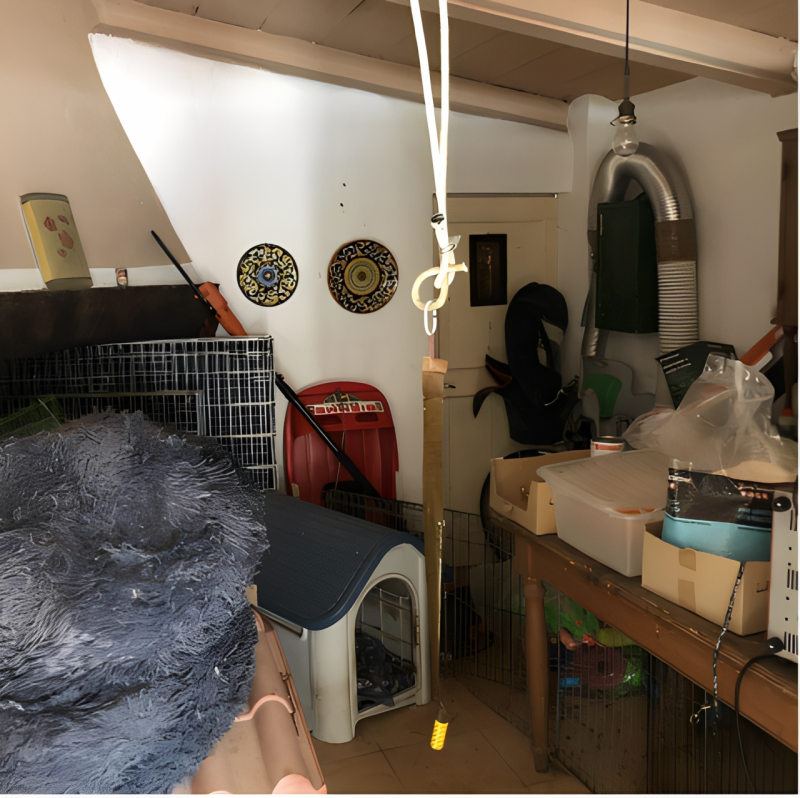 immagine annuncio 9 di 10