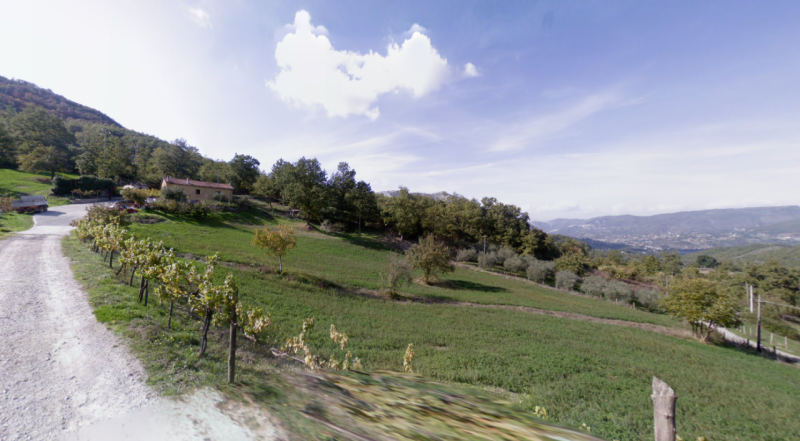 immagine annuncio 1 di 6