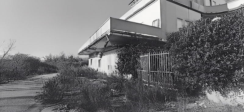 immagine annuncio 1 di 10