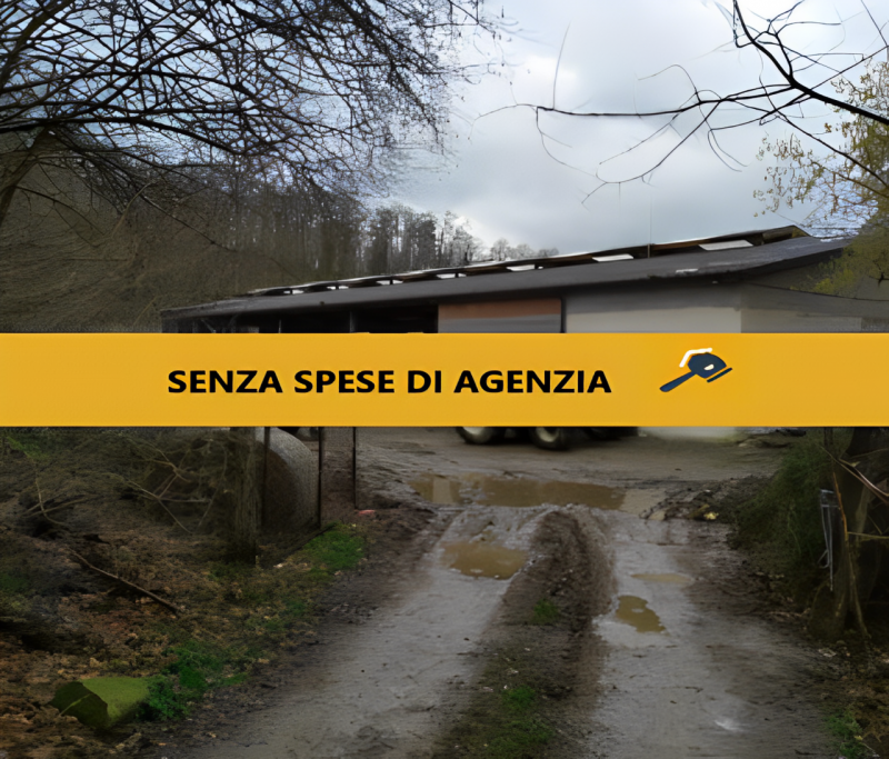 immagine annuncio 1 di 9