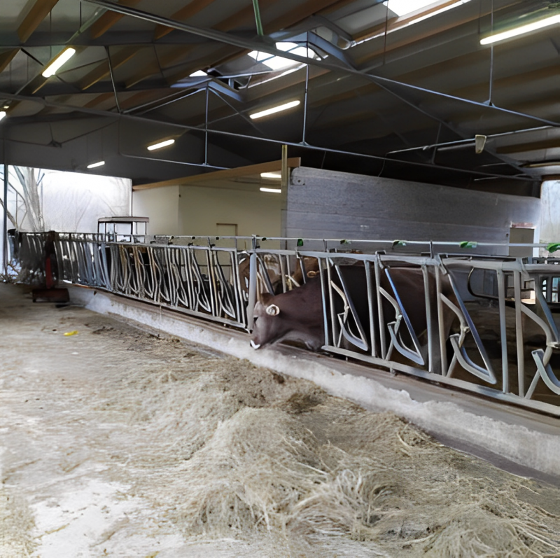 immagine annuncio 2 di 9