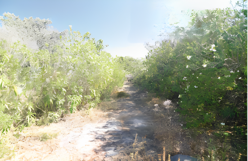 immagine annuncio 5 di 6