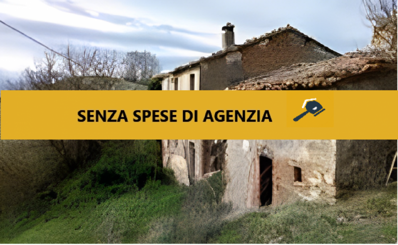 immagine annuncio 2 di 8