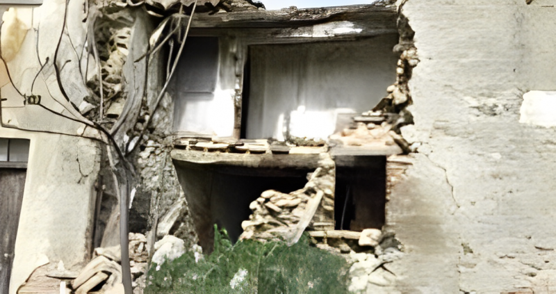 immagine annuncio 3 di 8