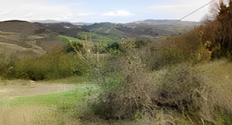 immagine annuncio 6 di 8