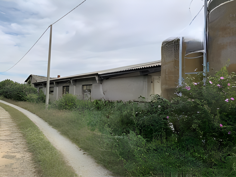 immagine annuncio 3 di 10