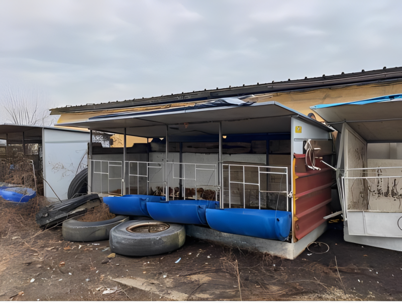 immagine annuncio 6 di 7