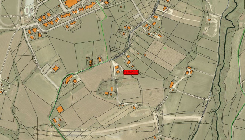 immagine annuncio 2 di 7