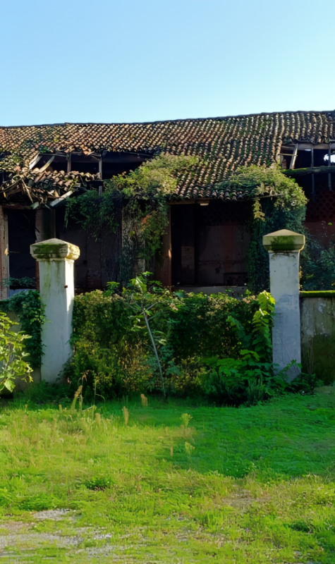 immagine annuncio 7 di 9