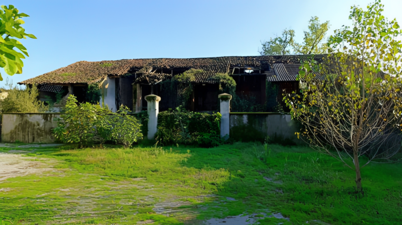 immagine annuncio 8 di 9