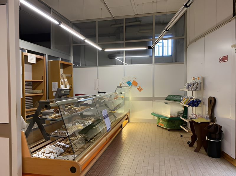 immagine annuncio 2 di 10