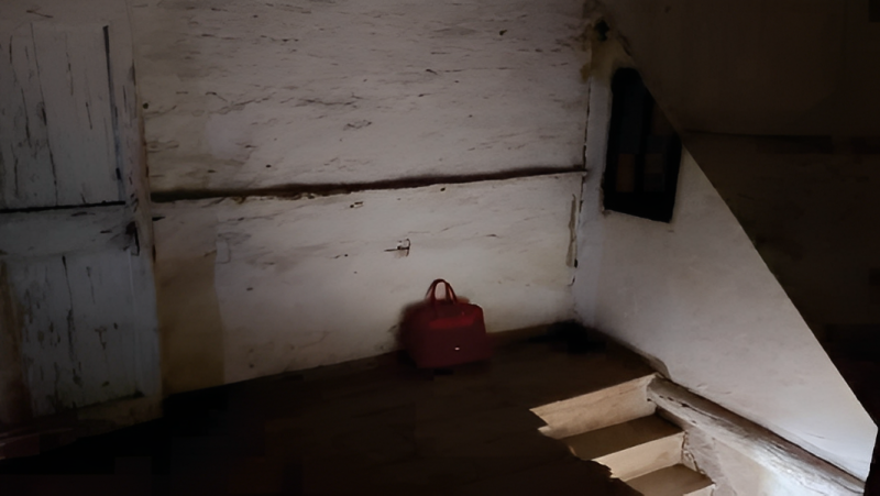 immagine annuncio 1 di 10