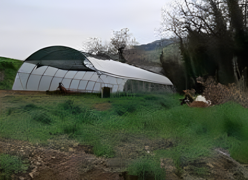 immagine annuncio 3 di 8