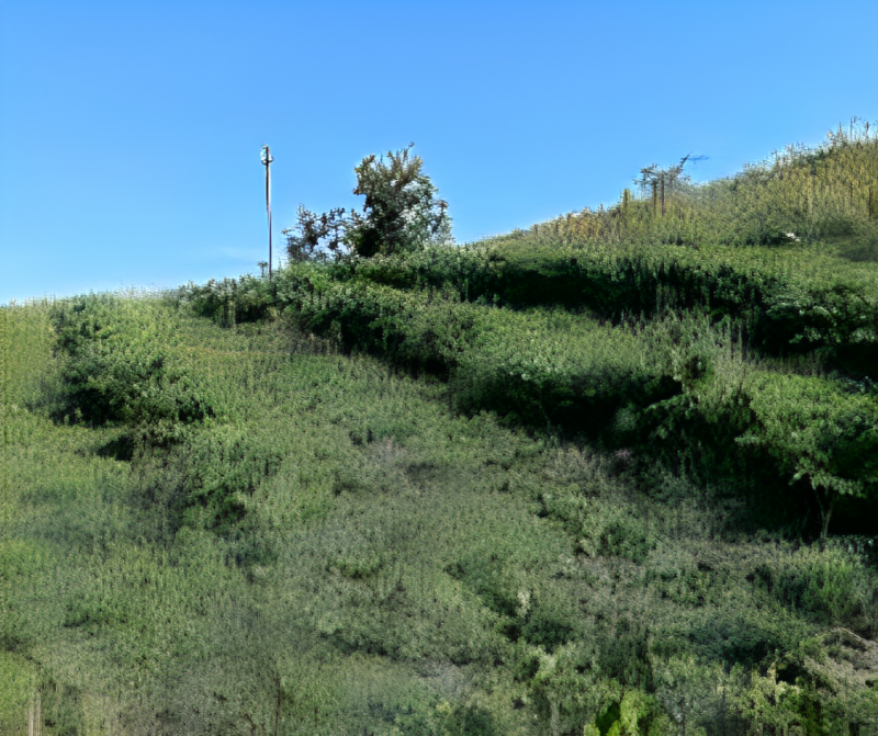 immagine annuncio 2 di 8