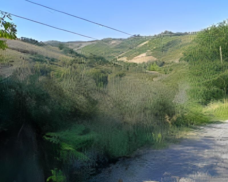 immagine annuncio 1 di 8