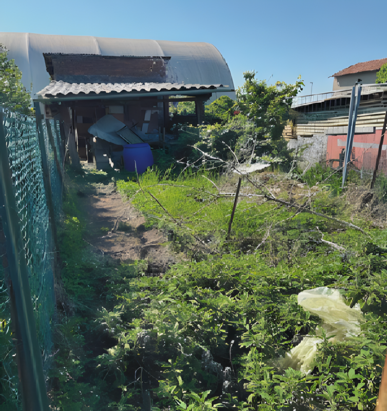 immagine annuncio 5 di 6