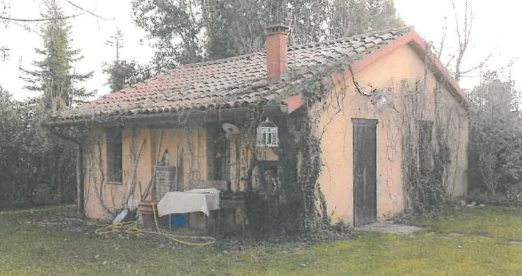 immagine annuncio 7 di 8