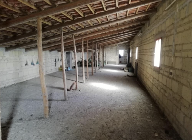 immagine annuncio 7 di 8