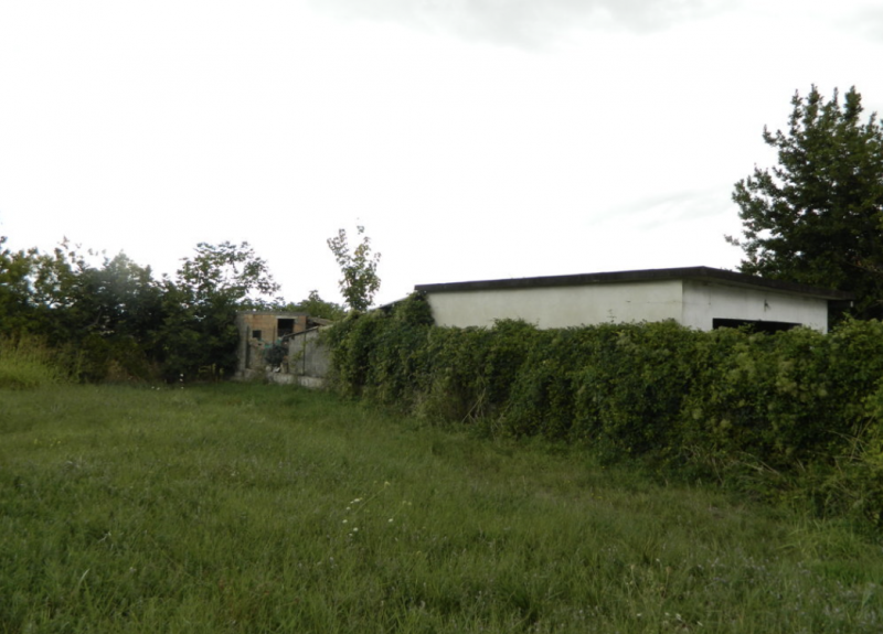 immagine annuncio 7 di 8