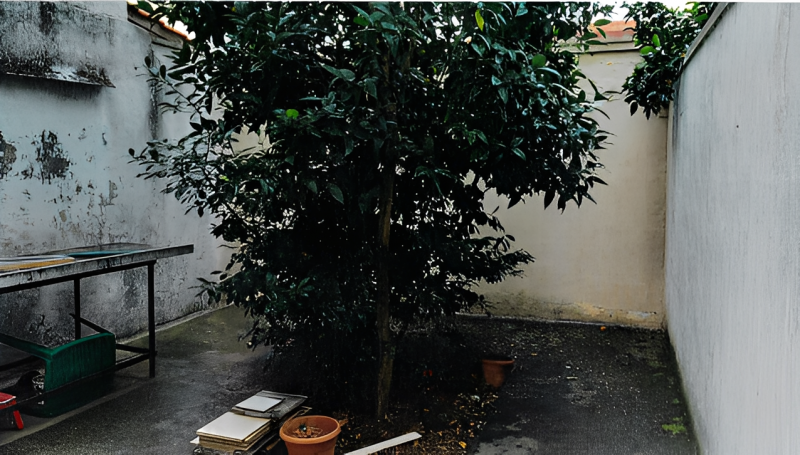 immagine annuncio 5 di 9