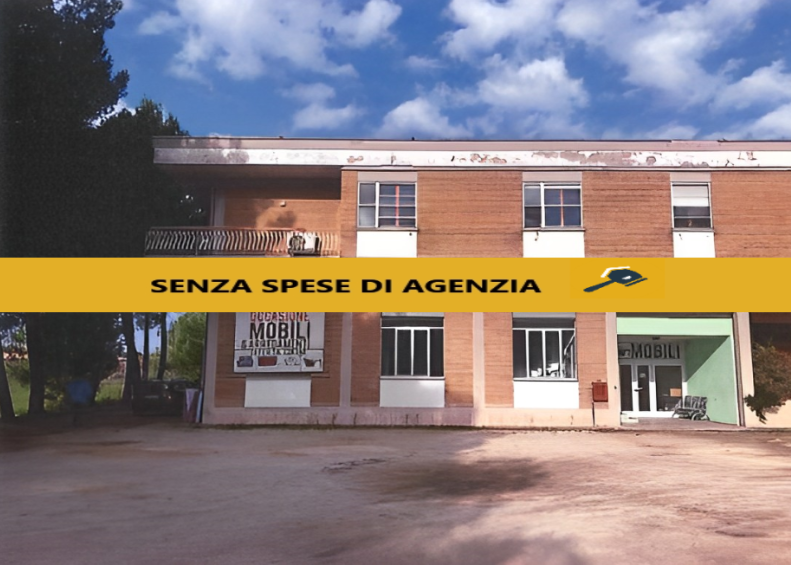 immagine annuncio 4 di 10