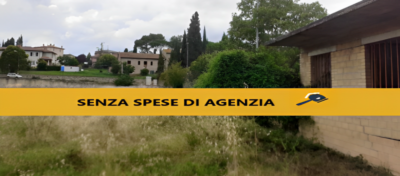 immagine annuncio 2 di 7