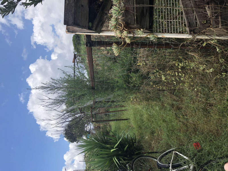 immagine annuncio 4 di 6