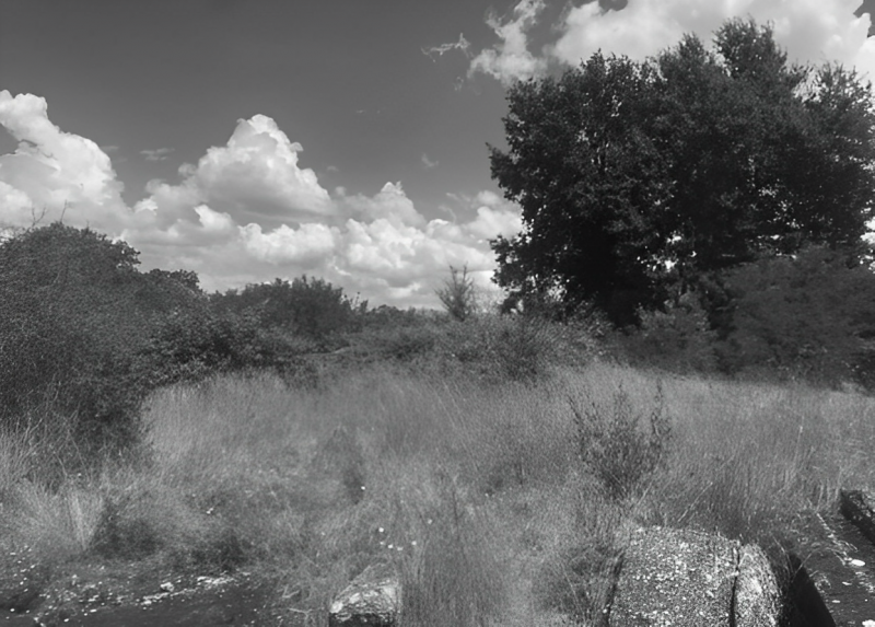 immagine annuncio 5 di 7