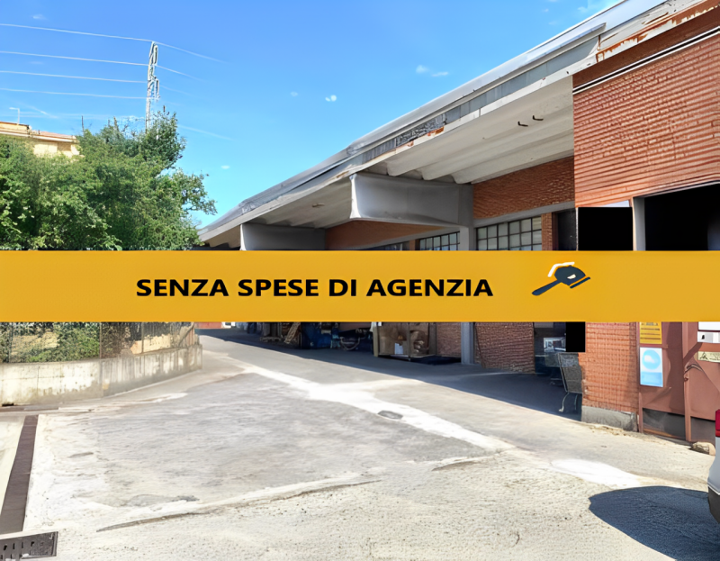 immagine annuncio 4 di 7