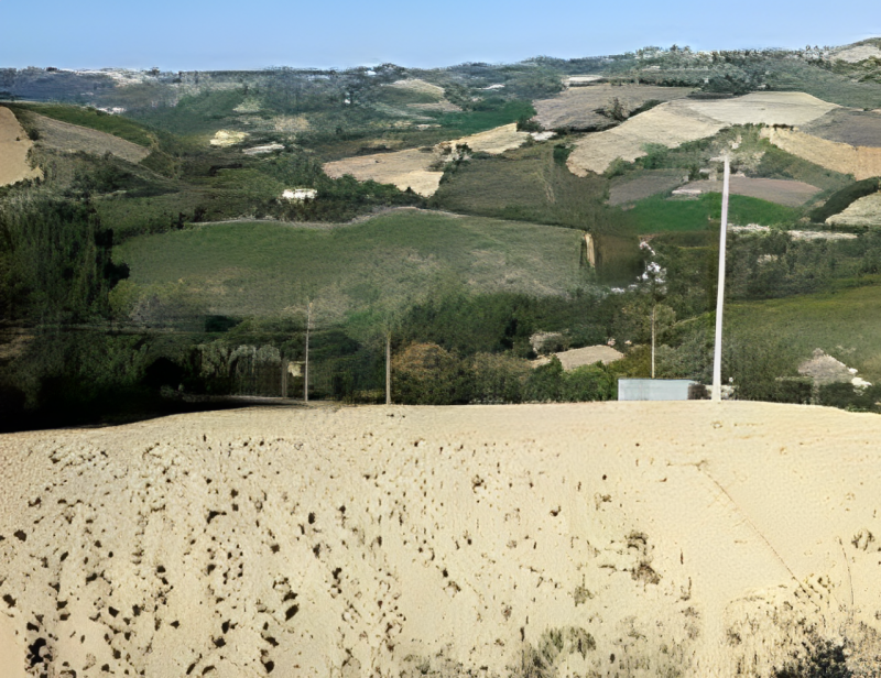 immagine annuncio 7 di 8
