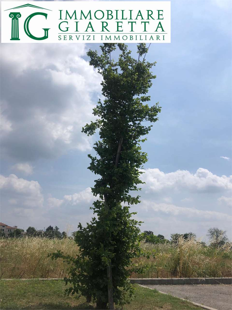 immagine annuncio 1 di 6