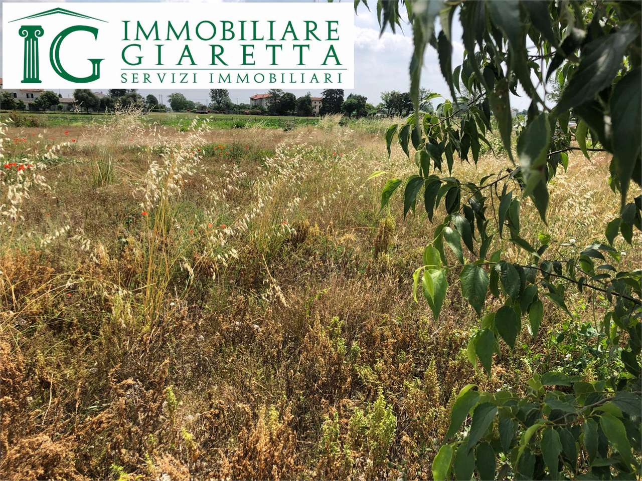 immagine annuncio 4 di 6