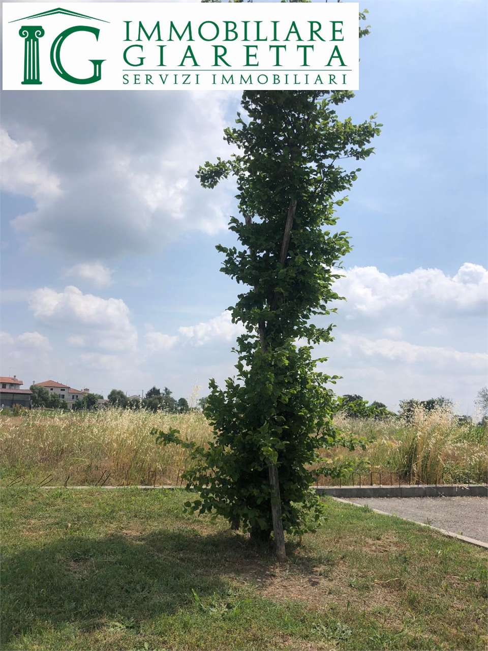 immagine annuncio 3 di 7