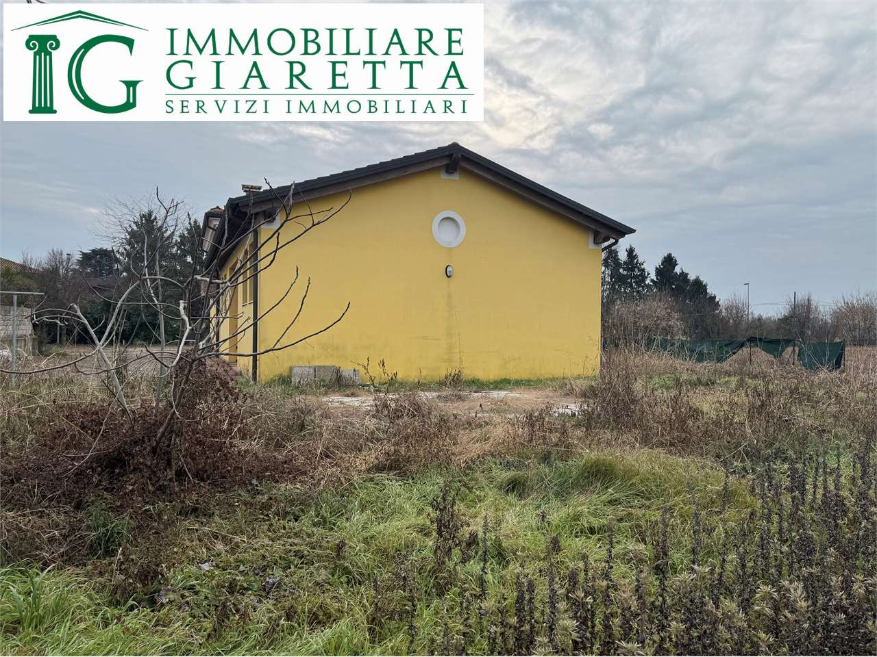 immagine annuncio 9 di 10