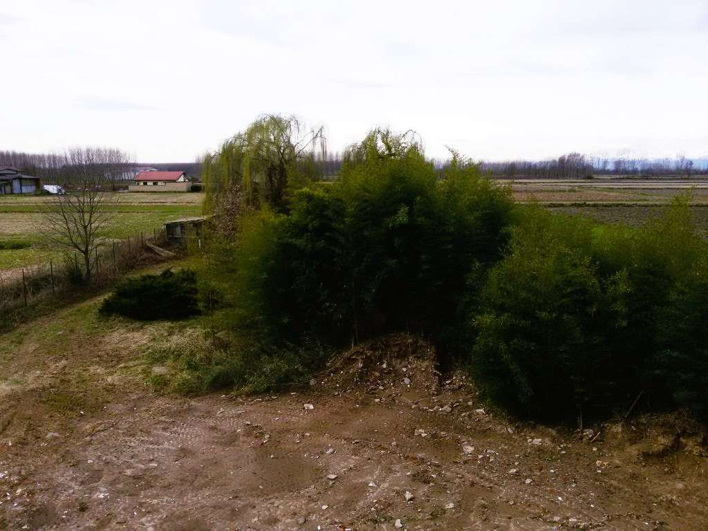 immagine annuncio 4 di 6
