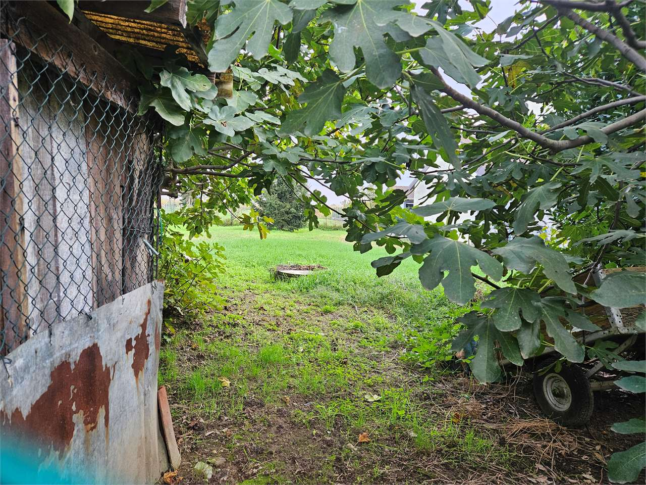 immagine annuncio 3 di 8