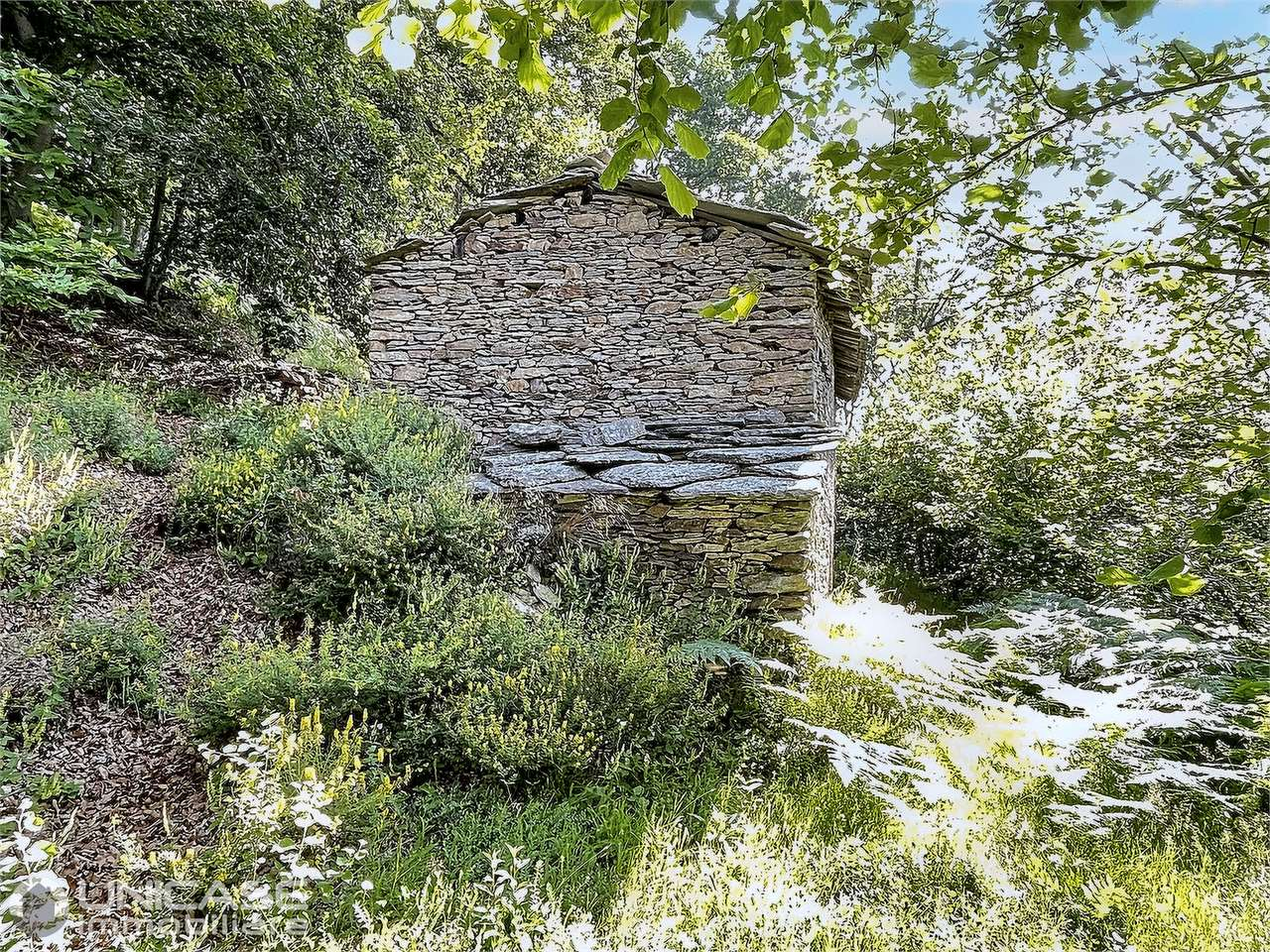 immagine annuncio 7 di 10