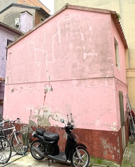 immagine annuncio 3 di 6