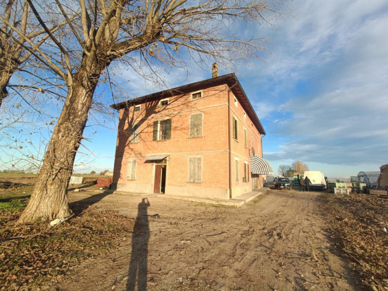 immagine annuncio 1 di 4