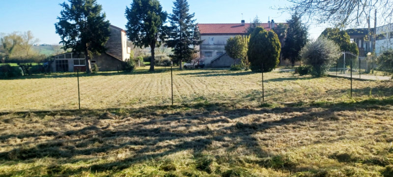 immagine annuncio 8 di 10