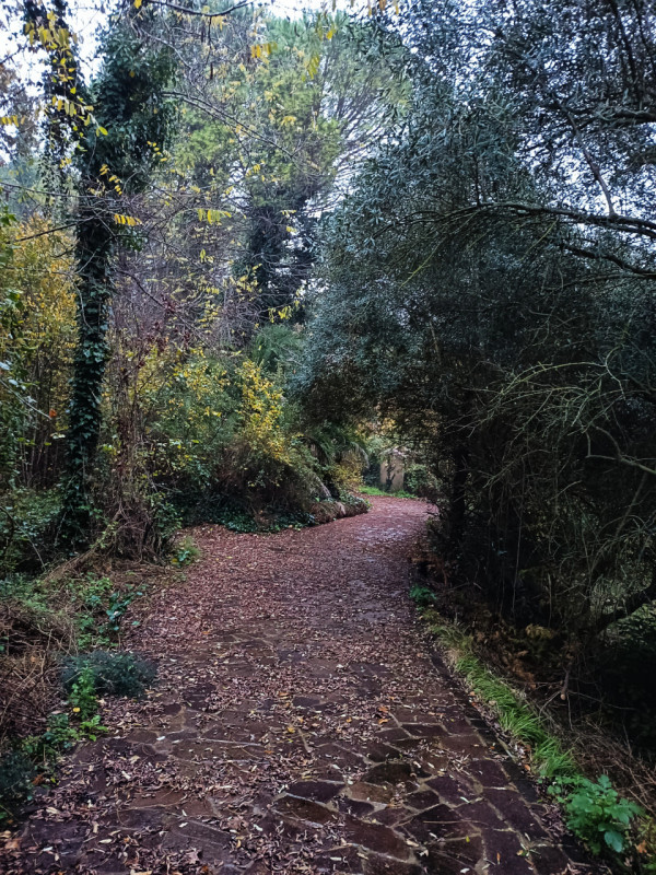 immagine annuncio 2 di 4