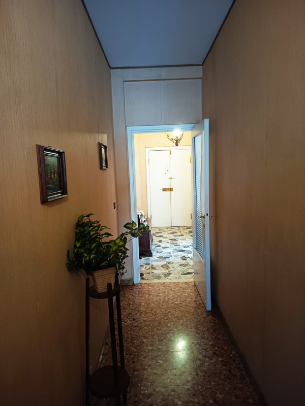 immagine annuncio 1 di 7