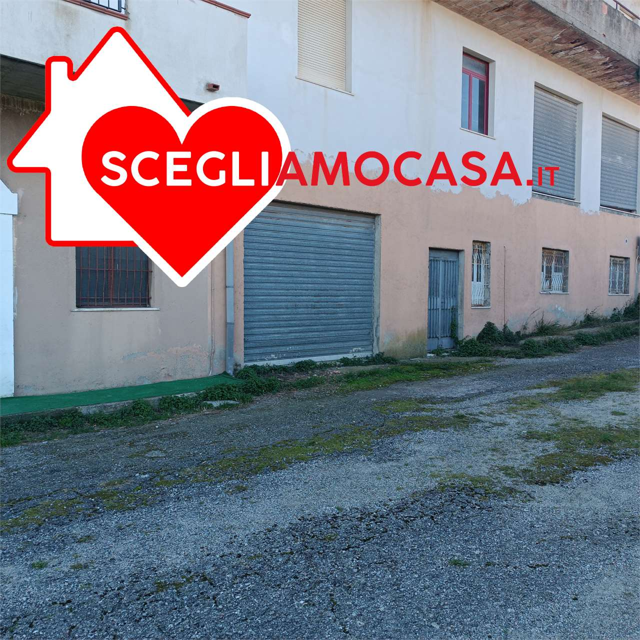 immagine annuncio 6 di 8